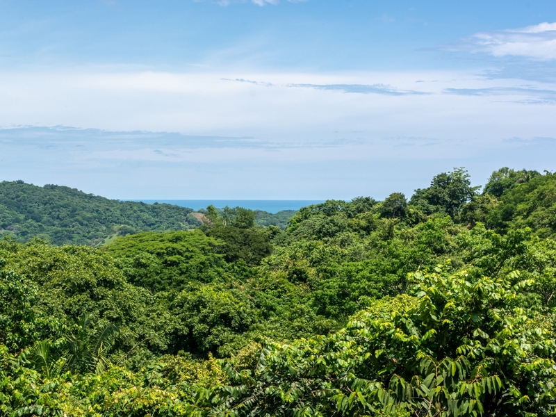 0 bed Land For Sale in Nosara, Guanacaste - 1